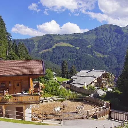 Readynow Alpine Resonanz Camp Fuer Mentale Klarheit Pill