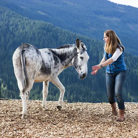 شقة Readynow Alpine Resonanz Camp Fuer Mentale Klarheit *