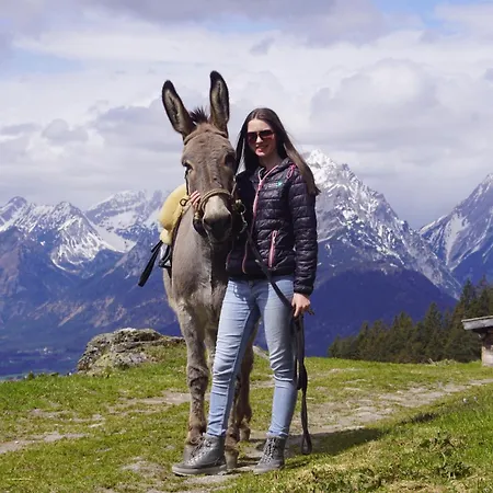 Readynow Alpine Resonanz Camp Fuer Mentale Klarheit