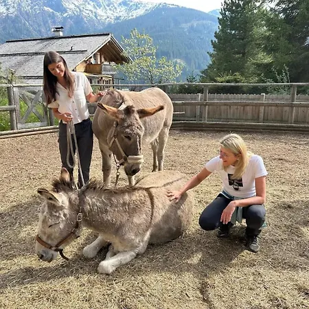 شقة Readynow Alpine Resonanz Camp Fuer Mentale Klarheit
