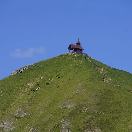 Readynow Alpine Resonanz Camp Fuer Mentale Klarheit * Pill