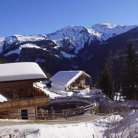 Readynow Alpine Resonanz Camp Fuer Mentale Klarheit Pill